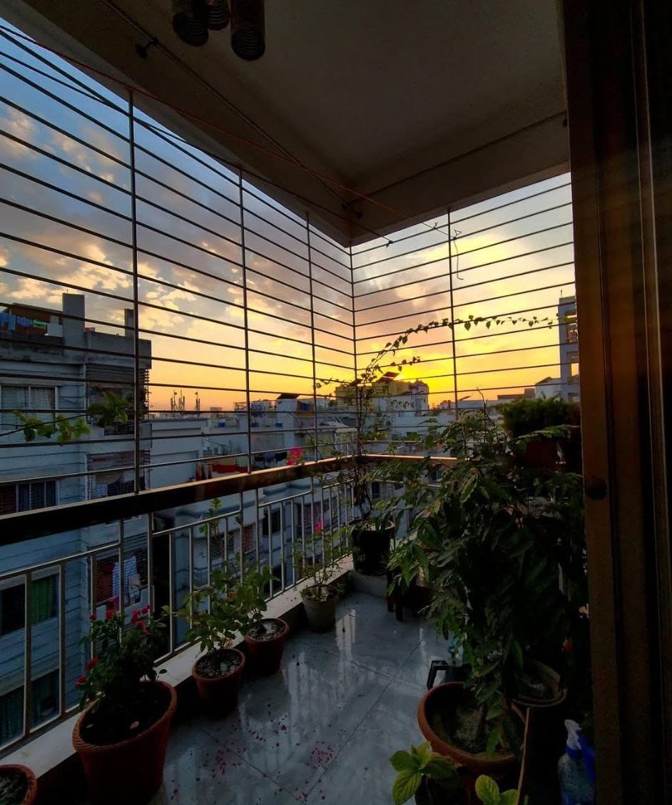 Anika's balcony garden at sunset